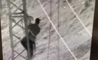 Watch: Hamas steals electricity from Gaza residents