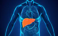 Innovative surgery to freeze liver cancer metastasis