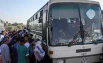 Автобусные компании, везущие мятежников к забору, будут наказаны