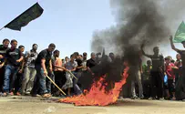 Демонстранты в секторе Газы озадачили израильских экологов