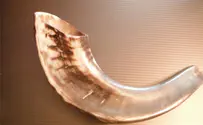 How are we going to handle shofar blowing in the US this year?