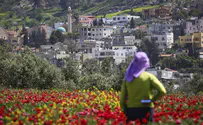 'All cities in the Galilee will become mixed'