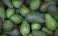 Israeli woman hospitalized after mistaking wasabi for avocado