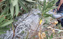 צפו: מזרימים מים לנחלים בגולן
