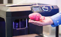 Israeli scientists successfully print human heart