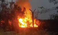 Фото и видео: в Эйнот Цуким вновь бушует пожар