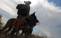 Guard dogs deployed in Gush Etzion after Fuld murder