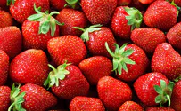 Israel to permit imports of Gazan strawberries