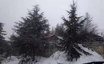 צפו: שלג יורד באתר החרמון