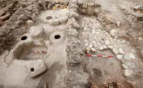 מה מצא הארכיאולוג בן השש?        
