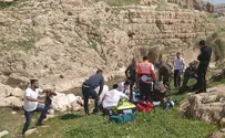 Child in critical condition after near-drowning east of J'lem