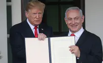 Left-wing NGO blames Trump for Israeli deportation plans