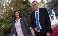 Will Likud's Yariv Levin take up Shaked's Judicial Revolution?