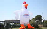 'Chicken protests' outside the Knesset