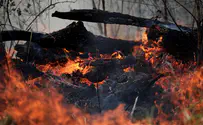 שריפות באמזונס: העולם החליט להתערב