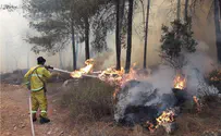Пожары бушуют в Бейт-Шемеше, неподалеку от Нецерета