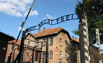 מכחישת השואה הקשישה לא תשוחרר מהכלא
