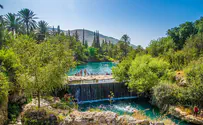 These are Israel's most popular nature sites of the summer