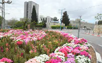 Ноф ха-Галиль – «самый прекрасный город на свете»