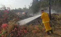 Многочисленные пожары вспыхнули по всему Израилю 