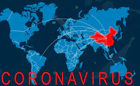 Мрачные прогнозы из-за пандемии коронавируса