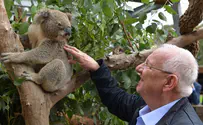 Rivlin visits wildlife hospital in Australia