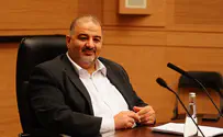 Arab MK: We will work to repeal the Nationality Law