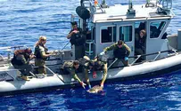 חיל הים חילץ צב ים פצוע באזור אשדוד