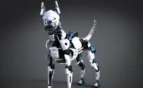 Собака-робот – лучший друг человека?