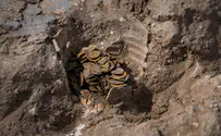 התגלו 400 מטבעות זהב בתוך כד שהוטמן