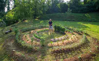 Permaculture And Organic Gardening