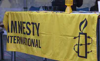 Посол: Amnesty отказывает Израилю в праве на существование
