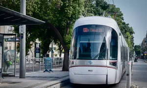 שנה לרכבת הקלה בת"א: האם הציבור מרוצה?