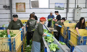 Millions of Israelis enlisted; donations arrived in the millions