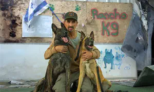 Shelter that rescued Gaza region dogs burns down