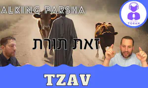 Talking Parsha - Parashat Tzav: What’s Torah??