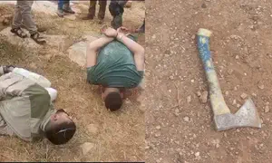 2 Arabs break into Binyamin farm with axe