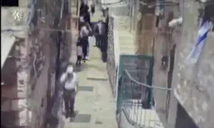 Terrorist stabs officer and is eliminated