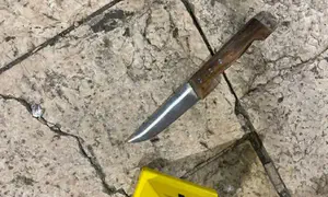 Terrorist tries to stab Border Police officers and is neutralized