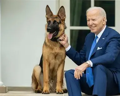 Biden’s dog bit Secret Service agents 24 times