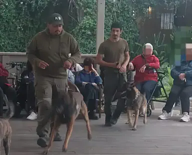 Working dog exhibition for evacuees from northern Israel