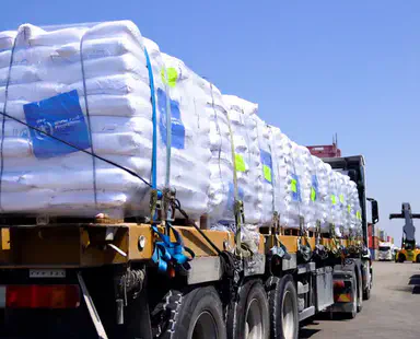 WFP flour trucks enter Gaza from Ashdod port for 1st time