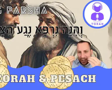 Talking Parsha - Metzorah & Pesach: What are Nega’im??