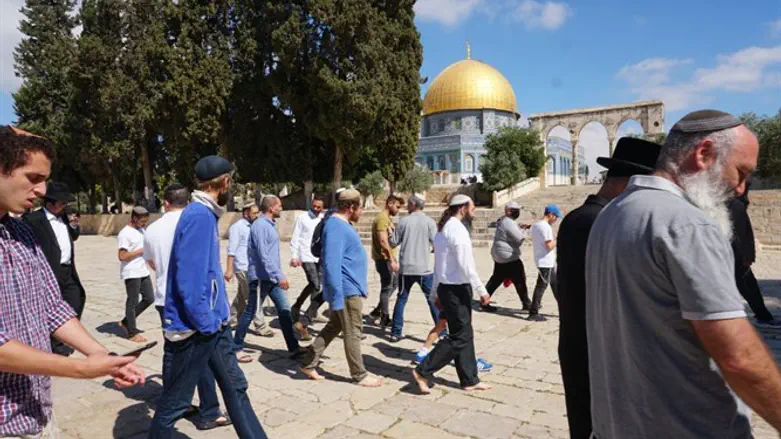 Jews return to Temple Mount