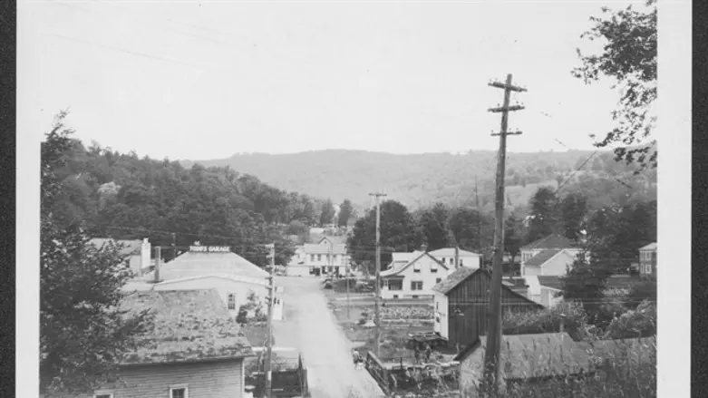 Fleischmanns, Catskill Mountains, Delaware County, July 1925. 