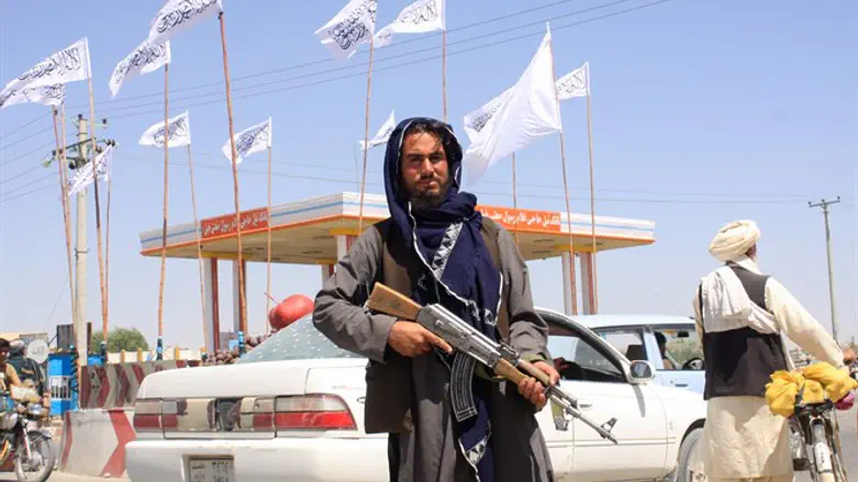Вооруженный талиб в Афганистане