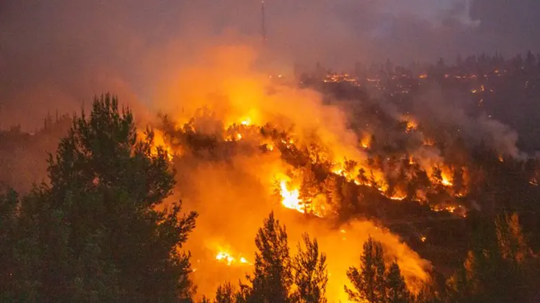 The fire in the Jerusalem hills