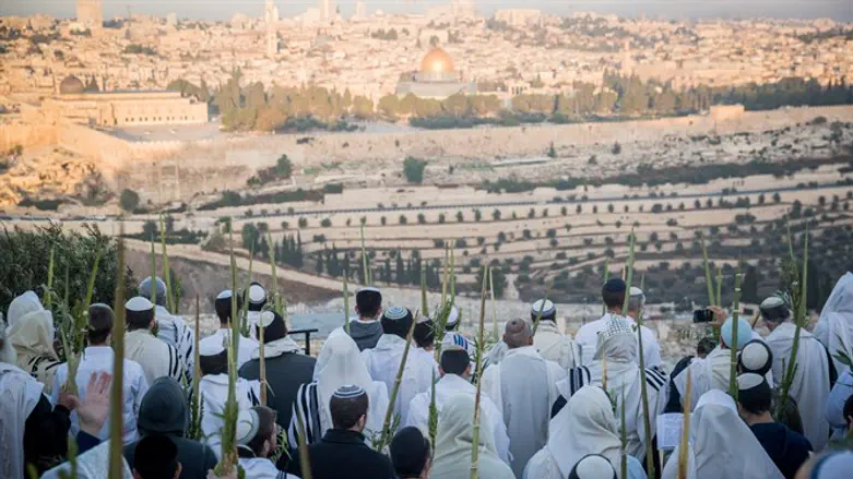 חוגגים את חג הסוכות בירושלים