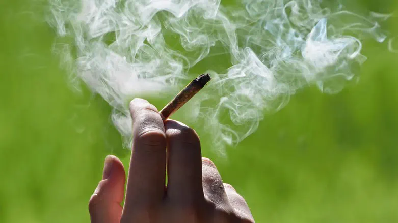 Smoking a joint marijuana cannabis