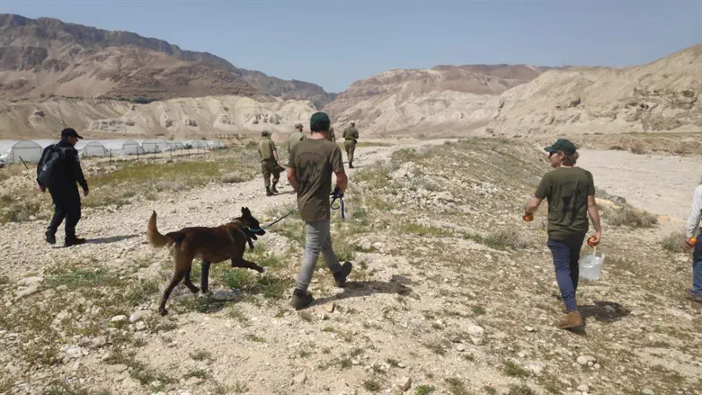 Israel Dog Unit search operations